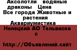 Аксолотли / водяные драконы › Цена ­ 500 - Все города Животные и растения » Аквариумистика   . Ненецкий АО,Тельвиска с.